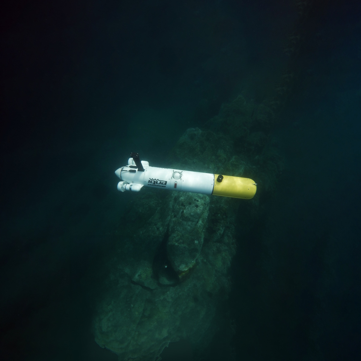 Multimodal Mapping for Exploration and Inspection with the SPARUS II AUV
