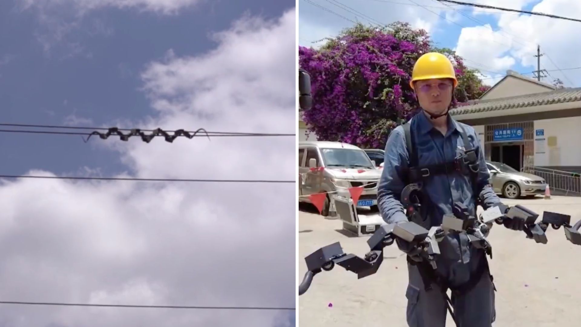 China’s robotic snakes slither across power lines to spot faults before failure