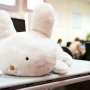 Robotic rabbit learns users' voices on first greeting, enabling personalized elder care