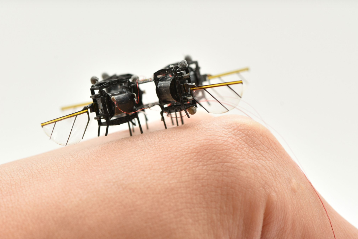 MIT Unveils Insect-Scale Flying Robot for Disaster Rescue Missions
