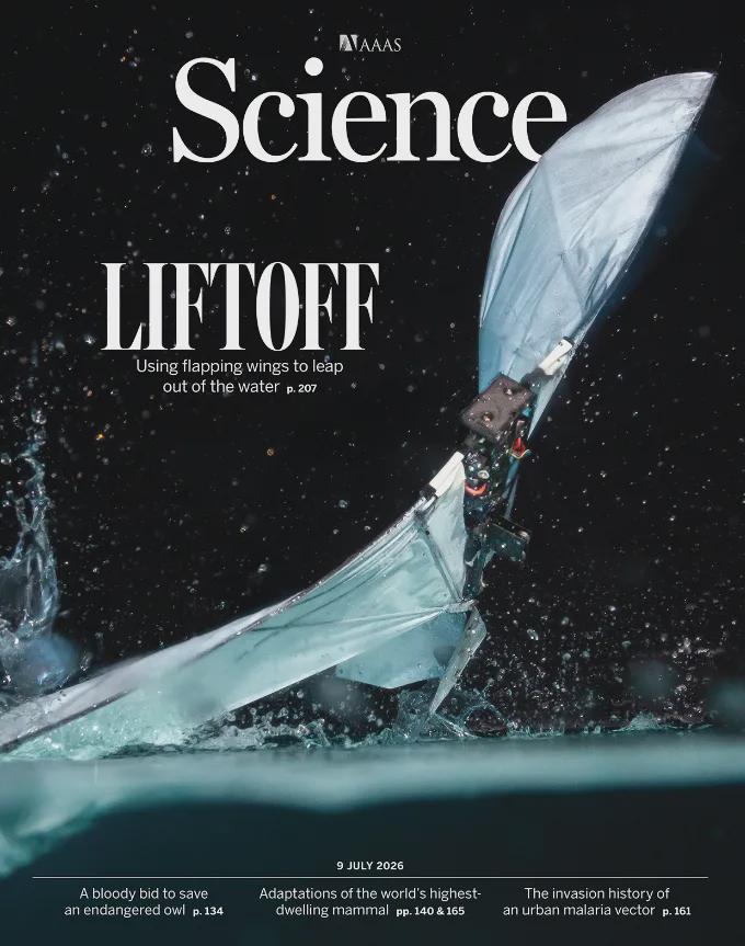 MIT and EPFL Develop Flapping Robot for Seamless Water-Air Transition with Advanced Wing Design