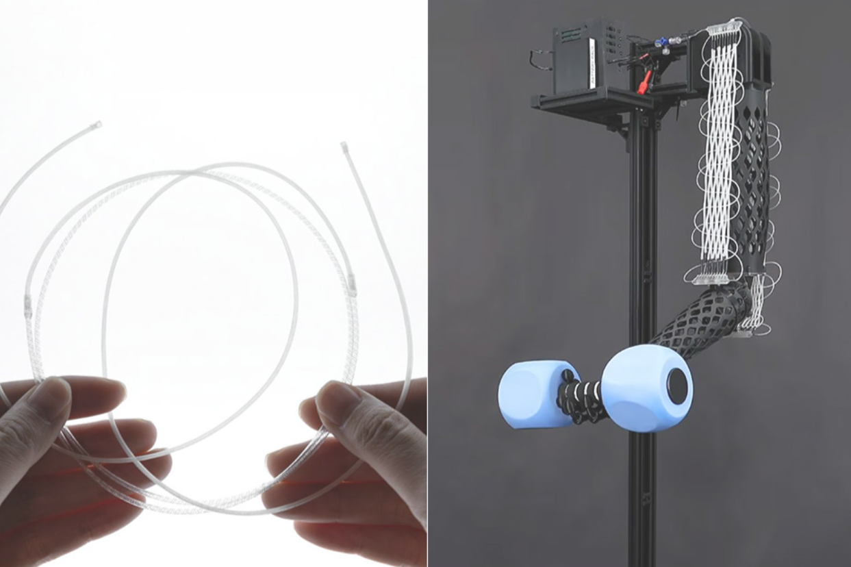MIT Develops Innovative 'Fiber Muscles' for Robots to Imitate Natural Muscle Movement