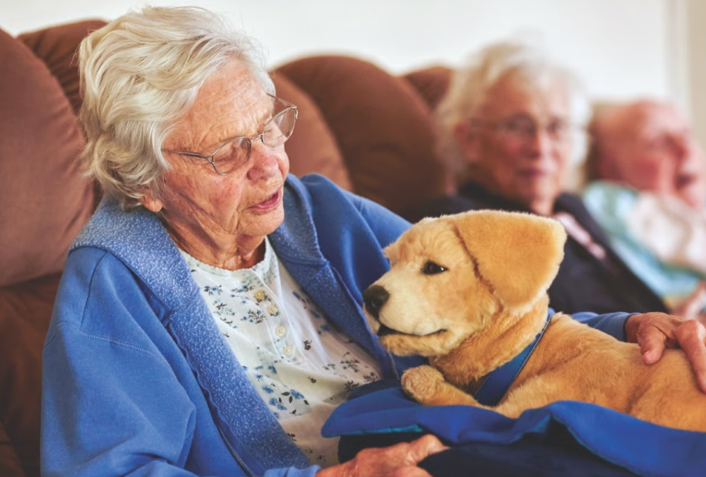 Tombot's AI-Driven Robotic Dog Receives Over 23,000 Preorders for Senior Emotional Support