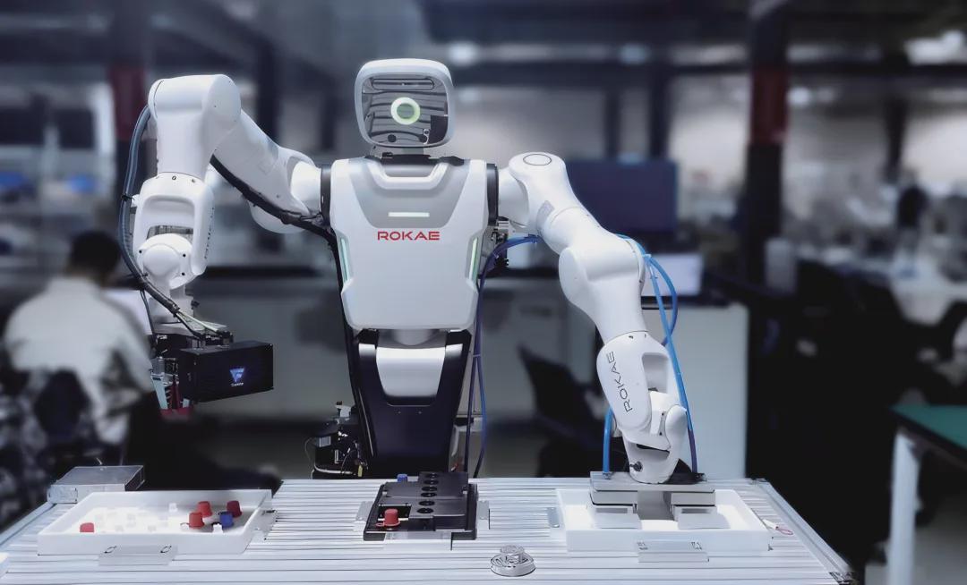 LuoShi's IPO: A New Era for Robotics Investment