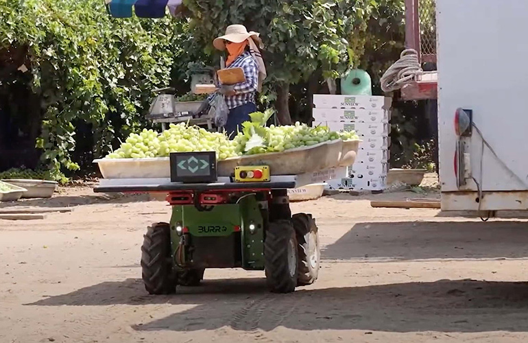 Burro AI Develops Robots for Unpredictable Outdoor Agricultural Environments