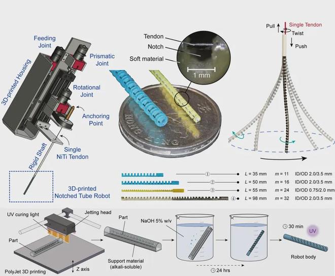 CUHK Introduces Innovative Single-Tendon Continuum Robots for Enhanced Motion Control