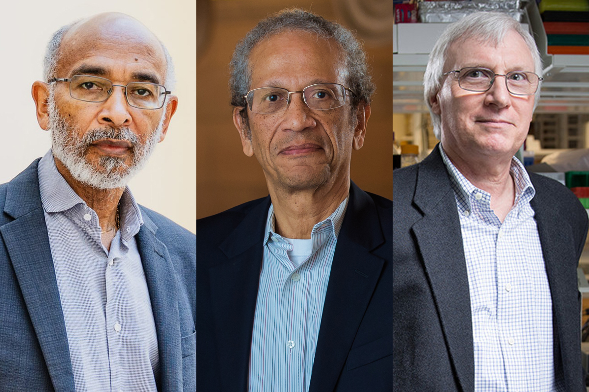 Emery Brown, Daniel Hastings, and Douglas Lauffenburger Receive MIT's Institute Professor Title