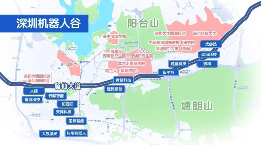 "Embodied Intelligence Industry Ecosystem Research" Opening: The "Body" and "Brain" of Shenzhen Robot Valley