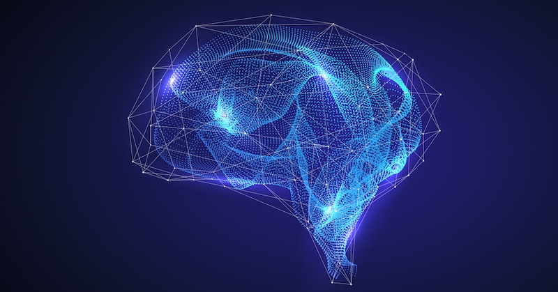 Noetra Initiates Development of Japan's Multimodal AI Foundation Model for Robotics