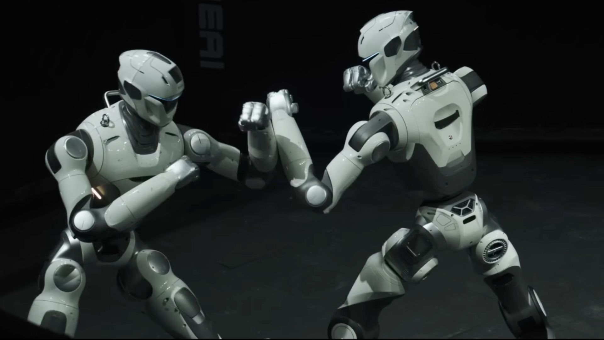 Humanoid Robot Achieves Head-High Kick in World’s First Freestyle Fighting Tournament in China