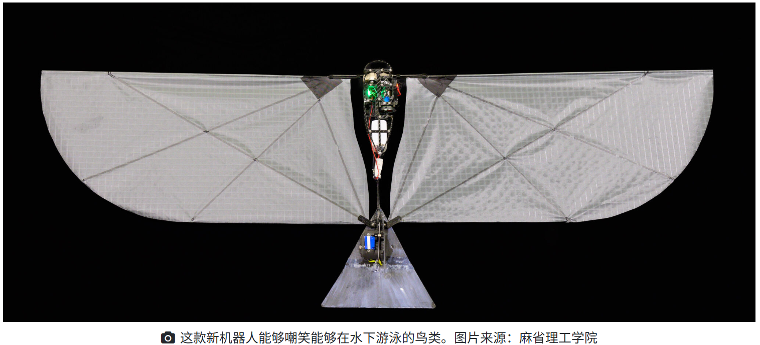 MIT and EPFL Unveil 250g Flapping Robot for Dual Aerial and Aquatic Navigation