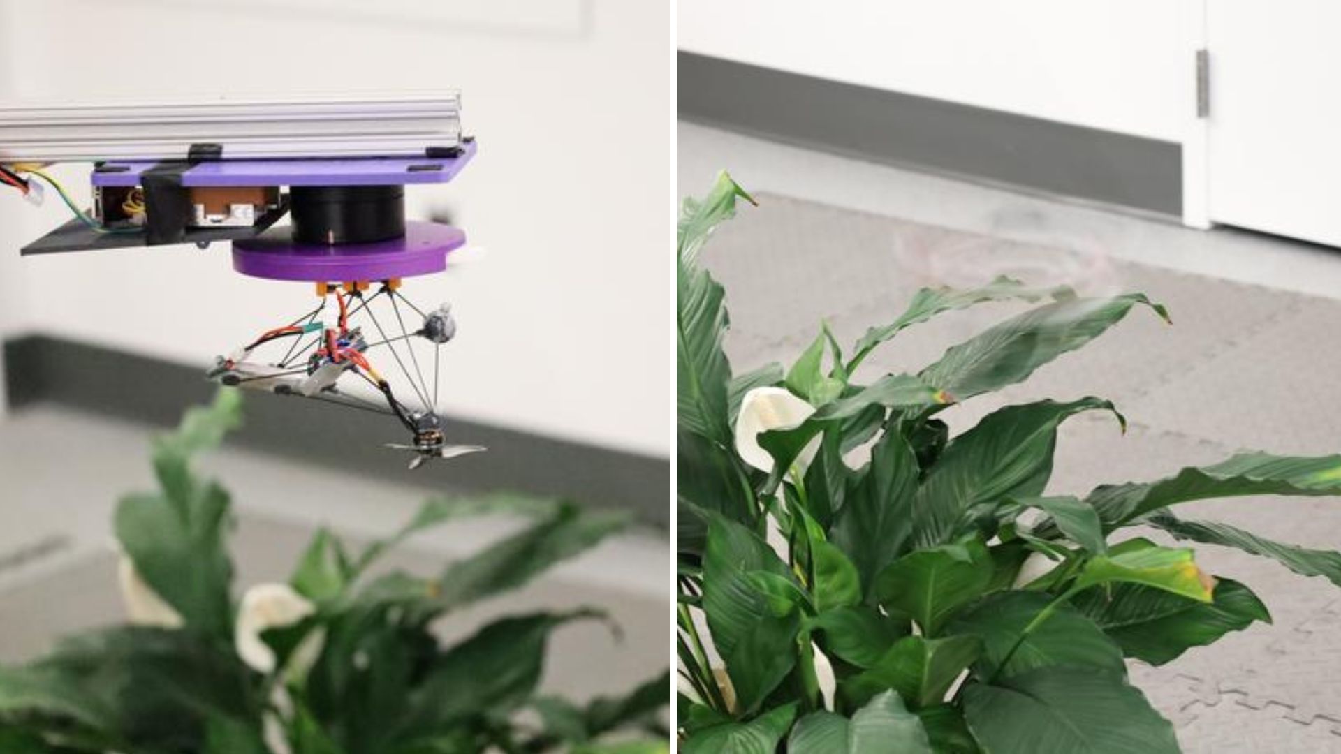 Northwestern University Develops 'Phantom Twist' Drone for Enhanced Low Visibility