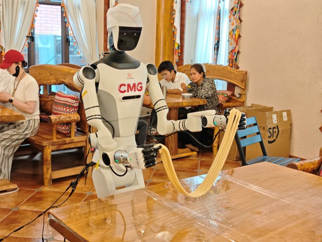 RealBOT Robot Excels in Culinary Tasks as a 'Xinjiang Chef