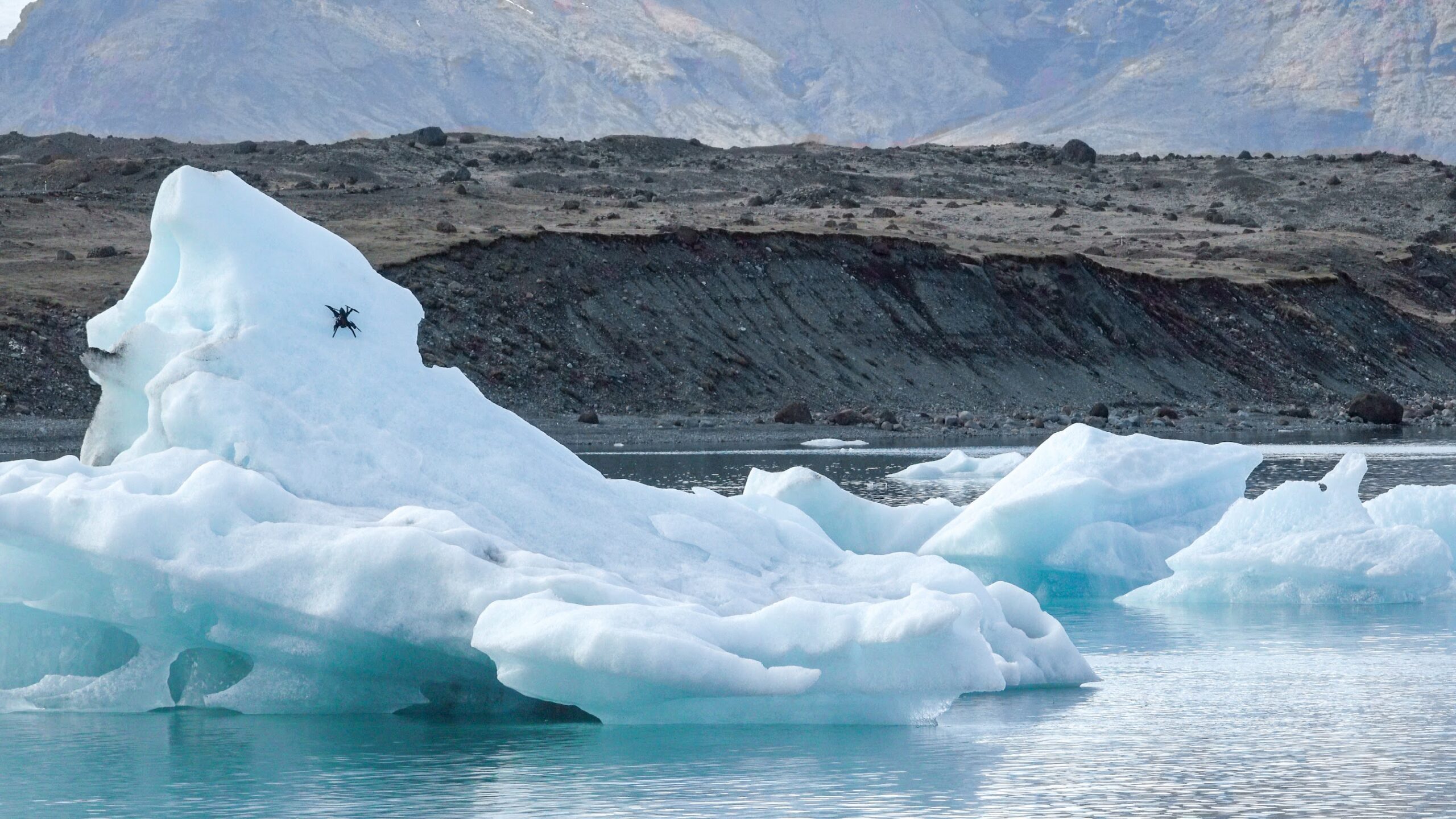 Ice Dart Drone Utilizes Cat-Inspired Claws for Landing on Steep Ice Surfaces