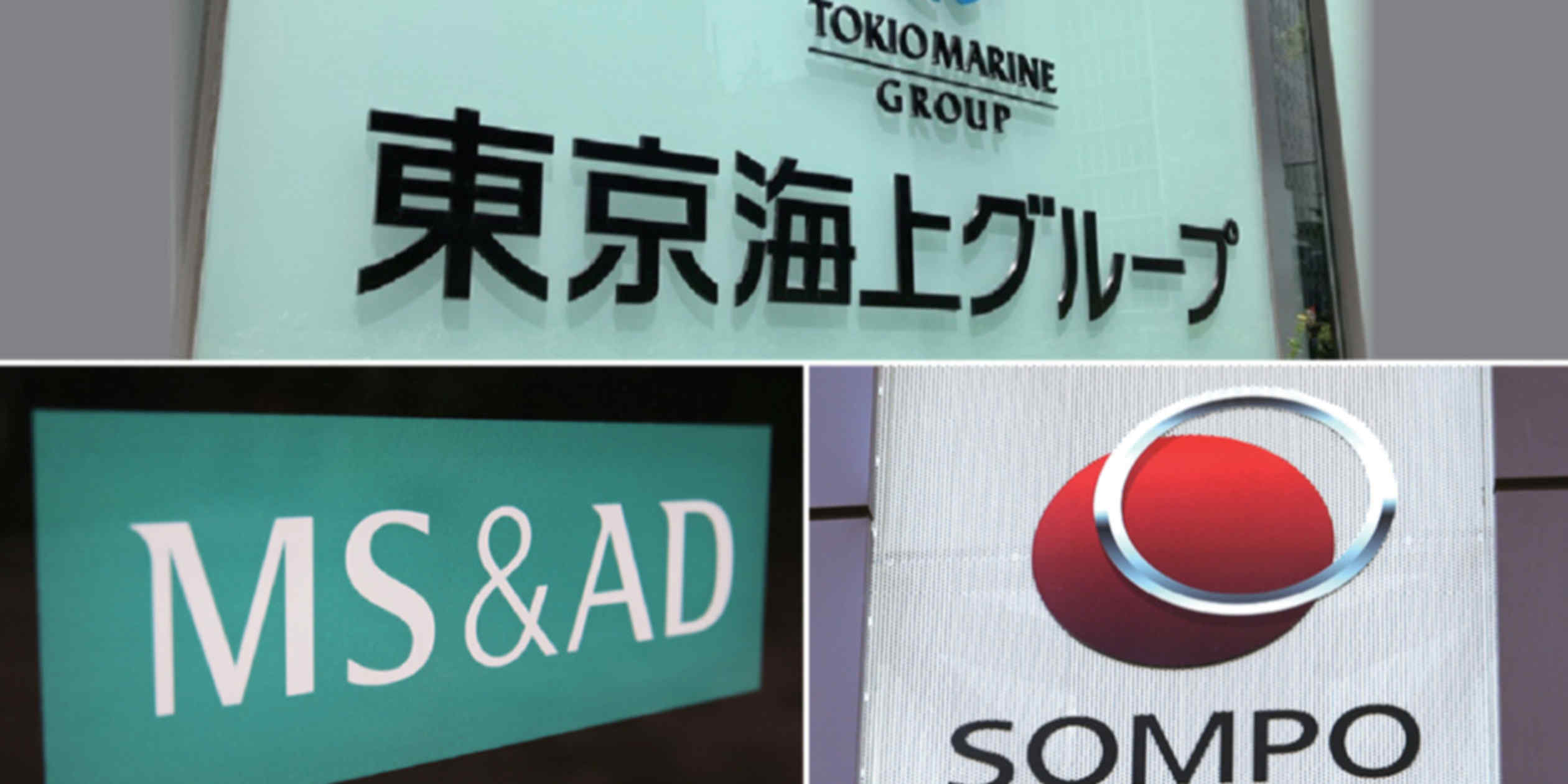 Japanese Insurers Seek Foreign Investment to Replace Domestic Cross-Shareholdings