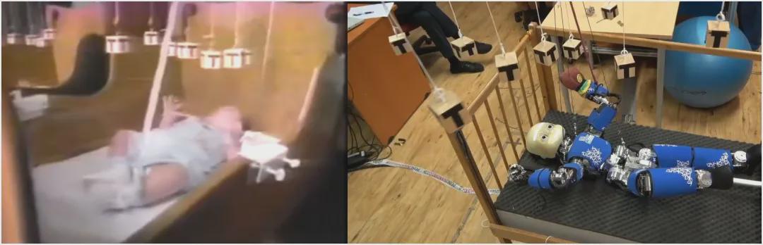 Humanoid Robot Participates in Classic Developmental Psychology Experiment to Explore Sensorimotor Contingency