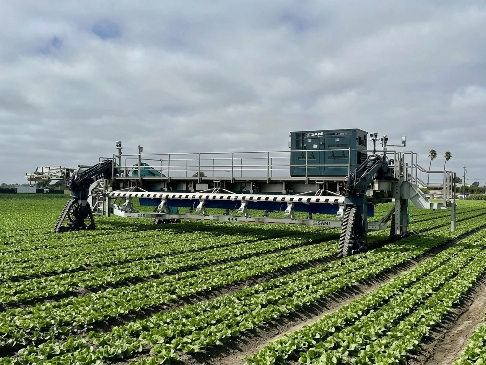 Sami Robotics Advances Broccoli Harvesting with Multi-Crop Platform Development