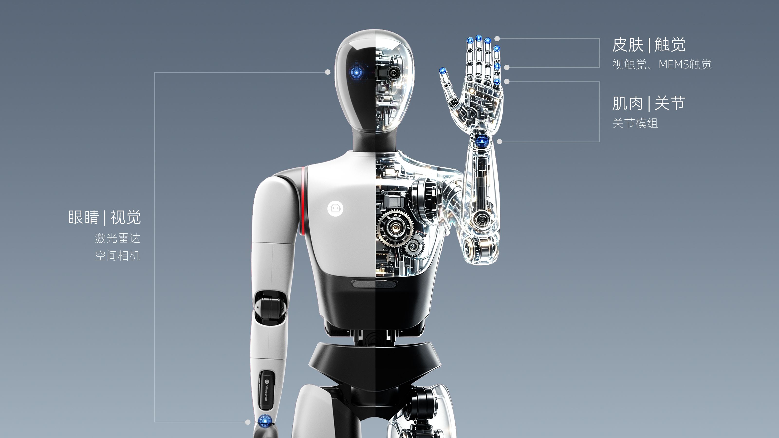 RoboSense Reports Strong Mid-Year Growth in Robotics Technology and Product Deliveries