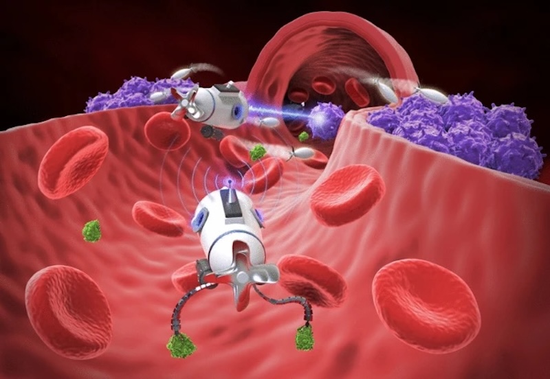 Global Nanorobotics Market Expected to Reach $31.44 Billion by 2034