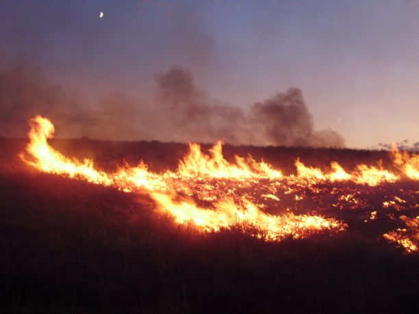 Unauthorized Drones Disrupt Wildfire Response Efforts in the Northwestern U.S.