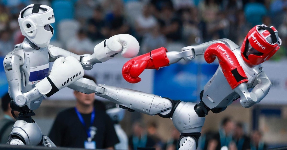 Current Status of the World Humanoid Robot Games in Beijing, China