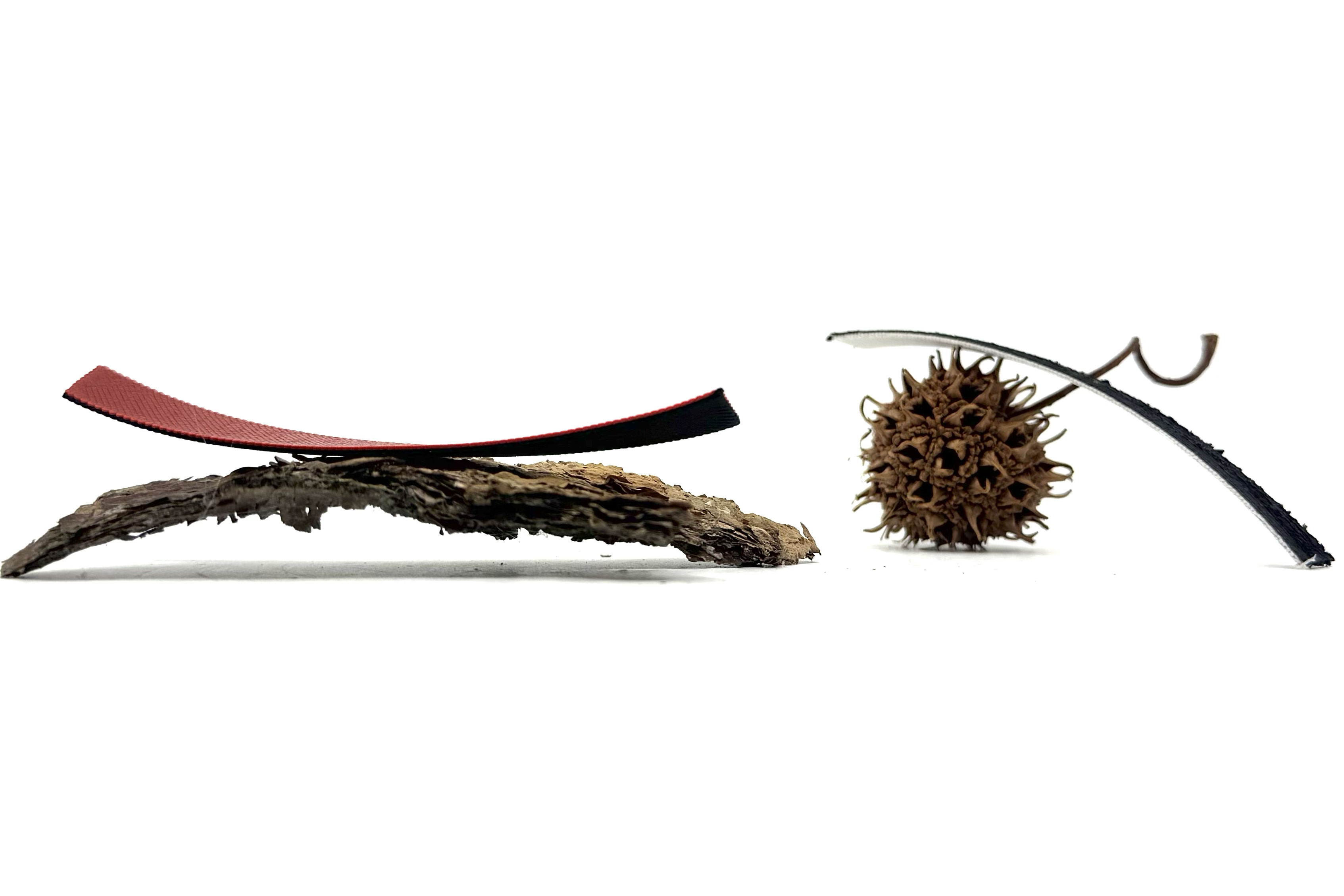 MIT Researchers Develop Framework for Designing Adaptive Materials Inspired by Pine Cones