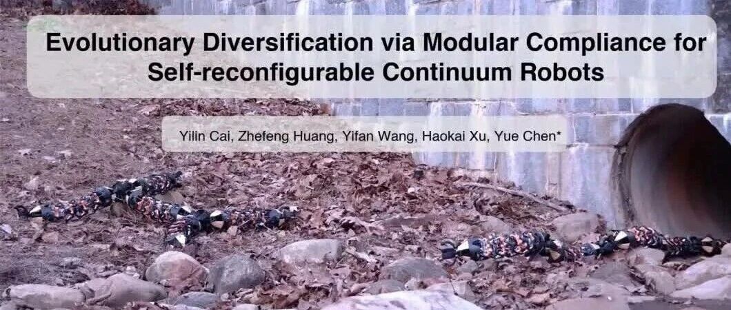 Modular Self-Reconfigurable Robots Adapt to Various Tasks with MSRCR Technology
