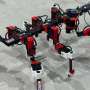 Six-Legged Robot Mimics Stick Insect to Enhance Walking Abilities