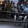 Unitree's Shares Surge 629% in Shanghai Trading Debut for Humanoid Robots