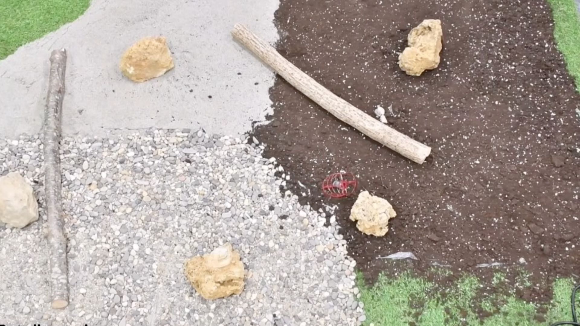 Researchers Develop BeanBot: A Motorless Robot Inspired by Jumping Beans