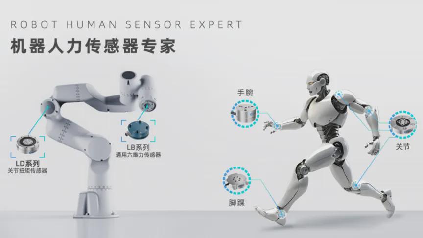 Leading 6D Force Sensor Company Blue Dot Touch Secures Significant Series D Funding for Robotics Expansion