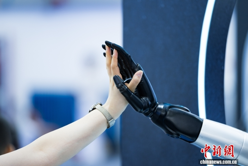 Beijing-Tianjin-Hebei Region Emphasizes Talent Development at World Robot Conference 2026
