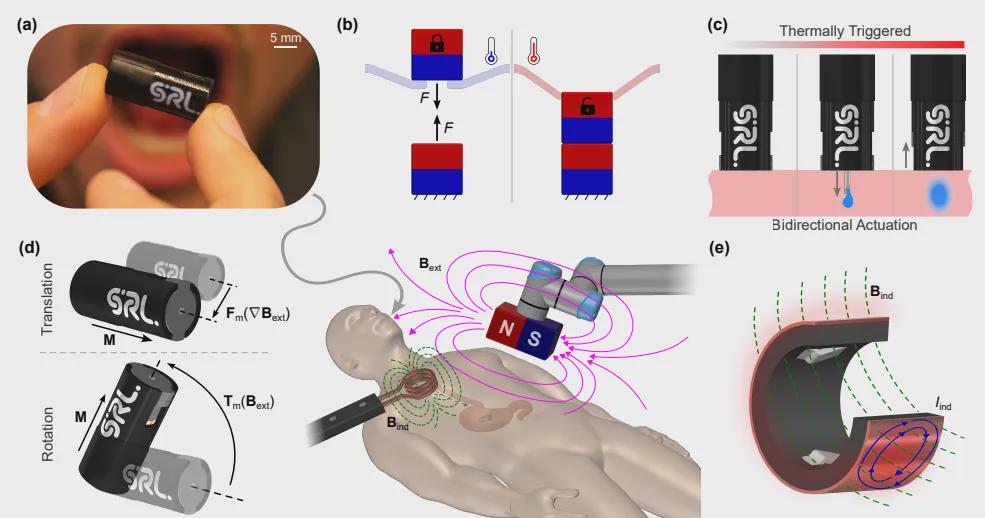 University of Twente Develops Magnetic-Controlled Capsule Robot for Medication Injection