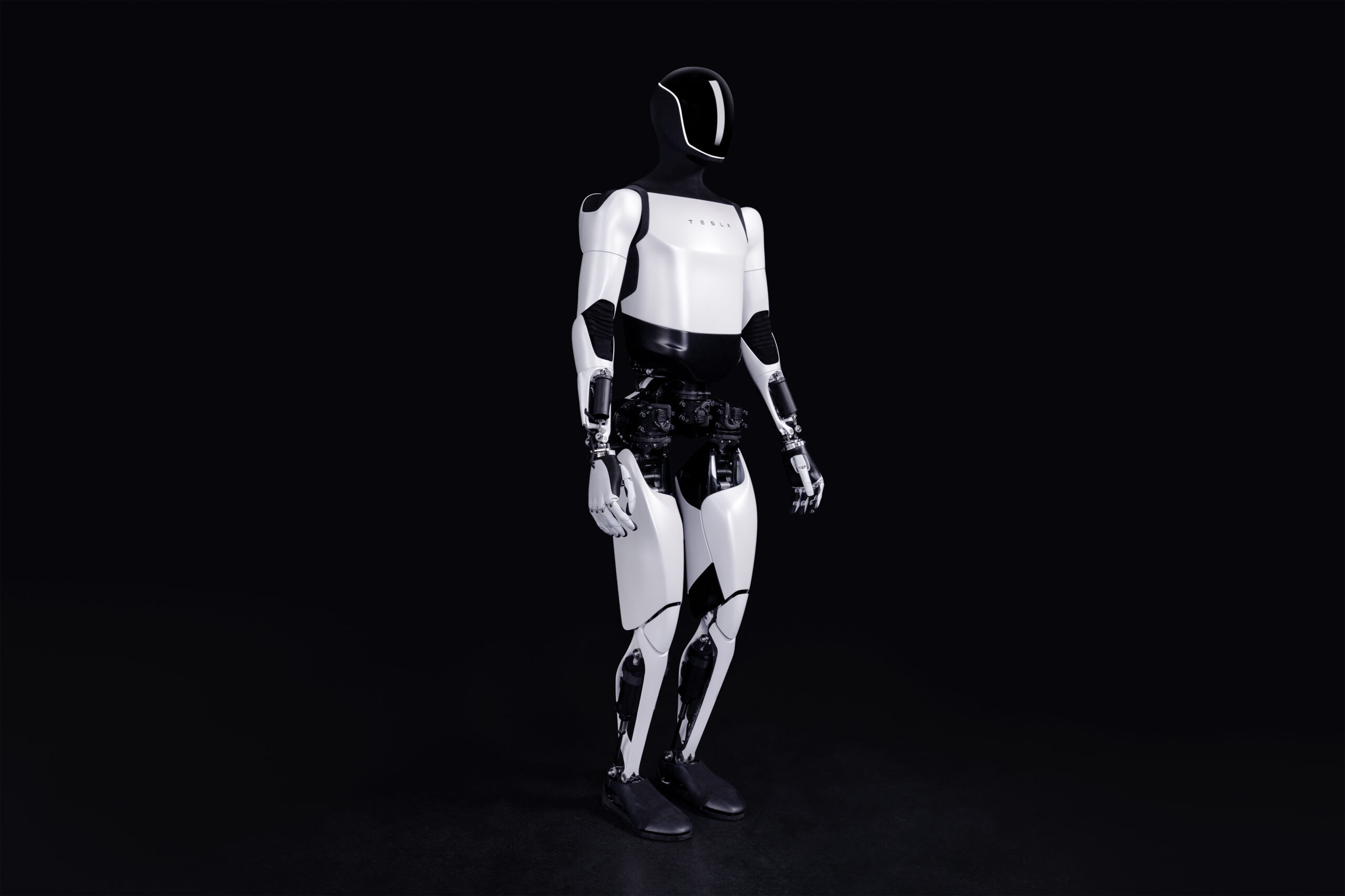 Exploring the Role of Humanoid Robotics in Future Warehouse Operations