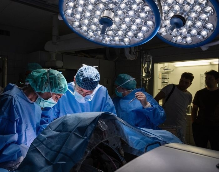 Robotic Assistance in Managing High-Risk Twin Pregnancies in Switzerland