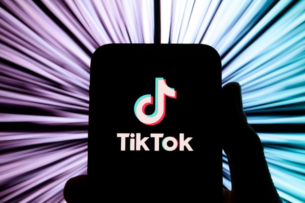TikTok USDS Joint Venture Joins Lantern Child Safety Initiative with Major Tech Firms