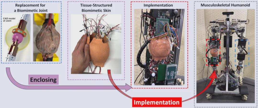 Tokyo University Innovates Artificial Skin for Enhanced Joint Angle Sensing in Robots