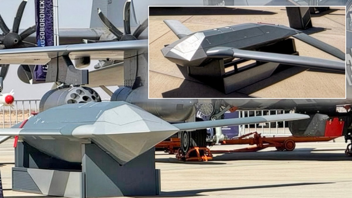 Russia Showcases New Cost-Effective Air-Launched Standoff Weapons at Egypt Airshow