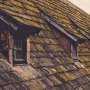 Research Explores Drone Use for Safe Moss Removal from Sloping Roofs