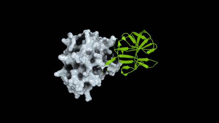 NVIDIA Collaborates to Release 3D Protein Structures for Over 2,800 Viruses
