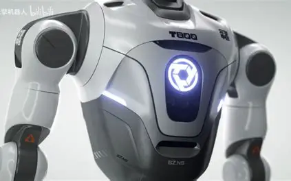Chinese T800 Robot Triumphs Over Human Boxer in San Francisco Match
