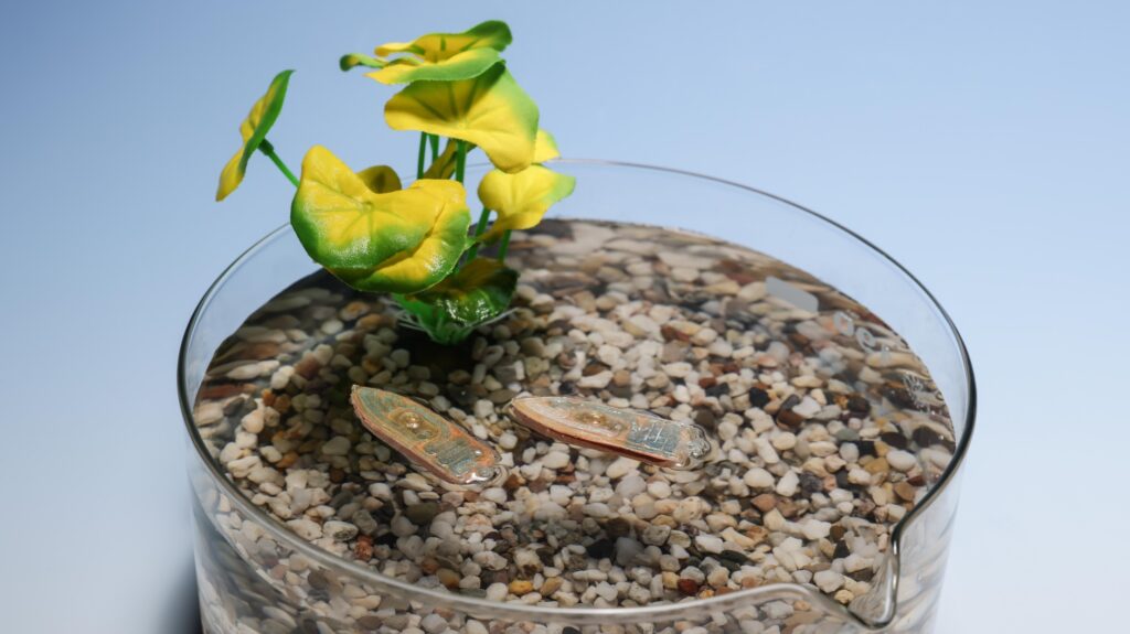 EPFL Advances Sustainability Robotics to Address Environmental Challenges