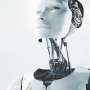 Study Reveals Subjective Nature of Robot Creepiness in Everyday Life