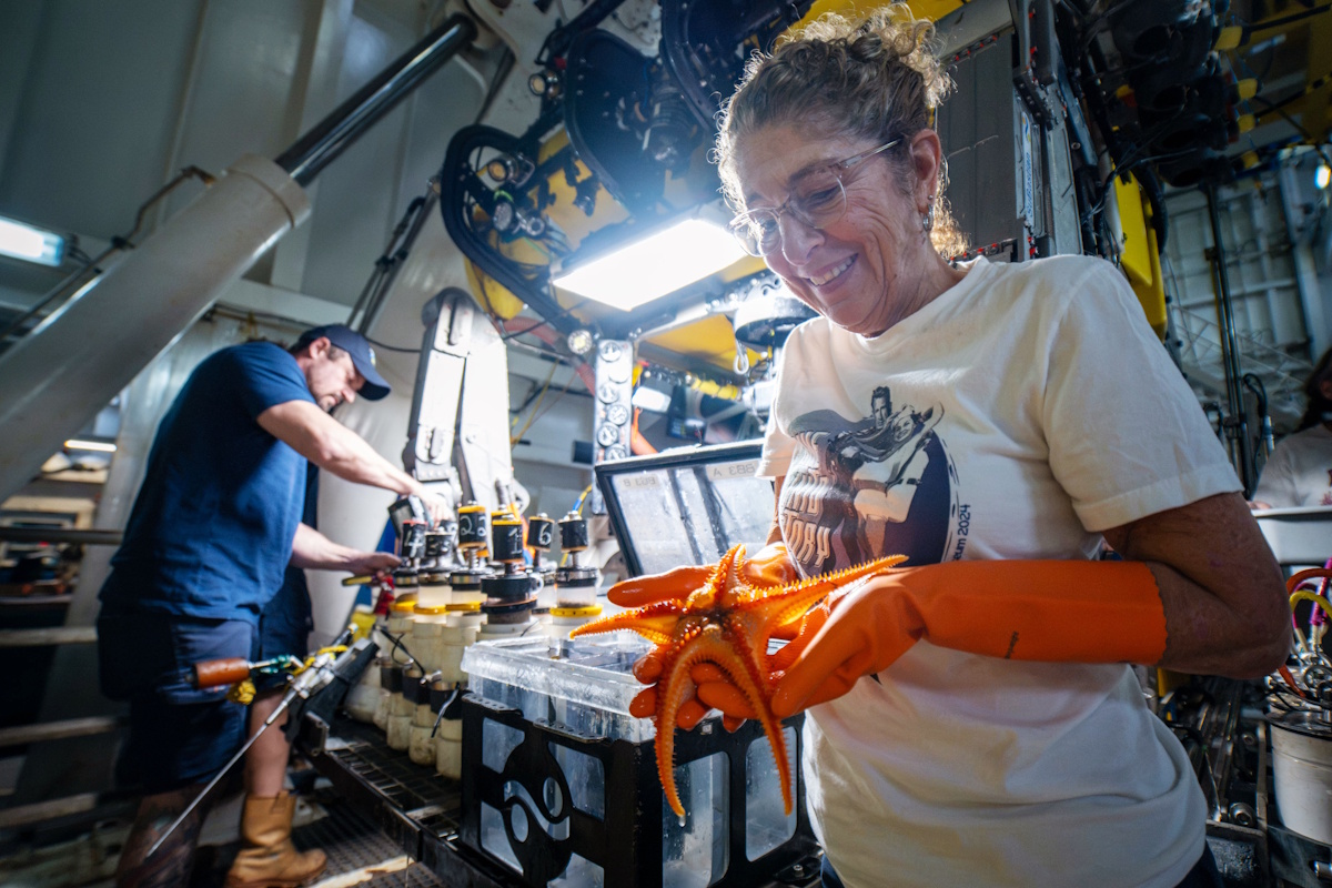 Trinidad and Tobago's First Local Expedition Reveals Deep Sea Ecosystems and New Species