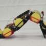 A Versatile Robot Designed to Navigate Land, Steps, and Water for Inspections