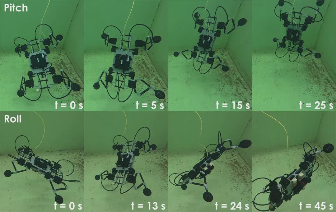 NTNU Innovates with Swimming Robot Dog Utilizing Unique Water Propulsion Method