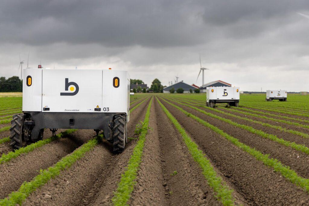 Odd.Bot Enhances Maverick Weeding Robot with GPS and Control App Updates