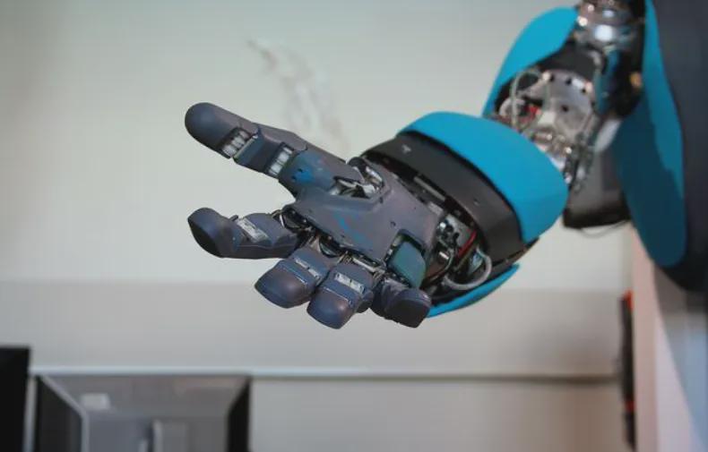 China's Robotic Hands Market Valuation: Price Wars and Economic Viability Insights