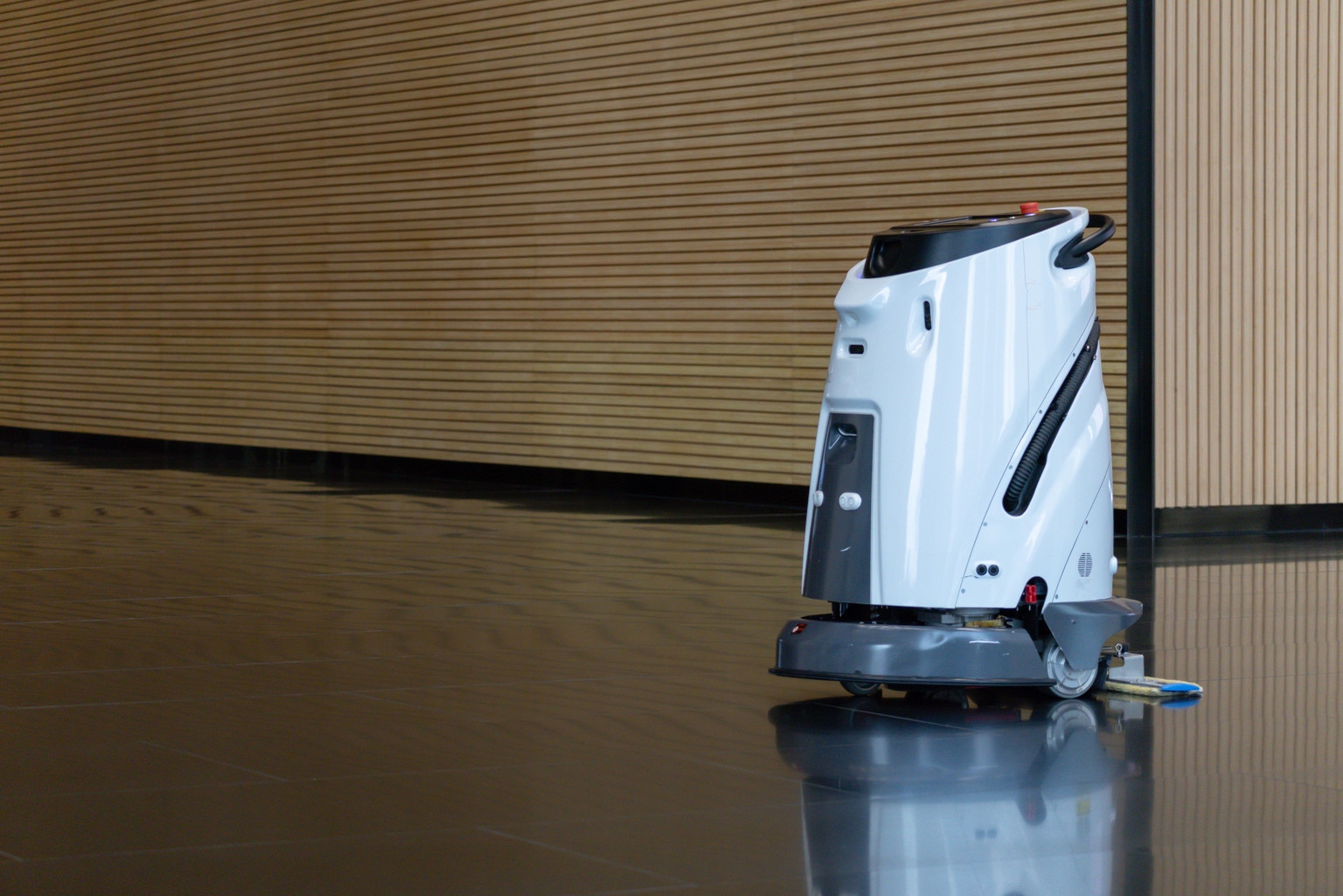Richtech Robotics Faces Growth Challenges Despite Strong Financial Position