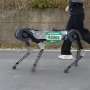 KAIST's Robot Dog Completes Marathon on One Battery Charge in 4 Hours 19 Minutes